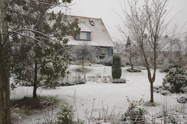 Jardin sous la neige en Alsace, structure du jardin