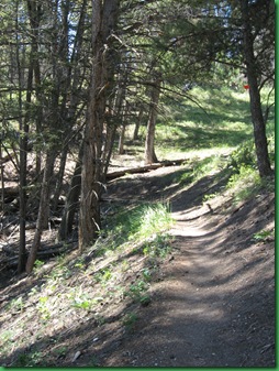 Beaver Pond & Narrow Gauge Terrace (24)