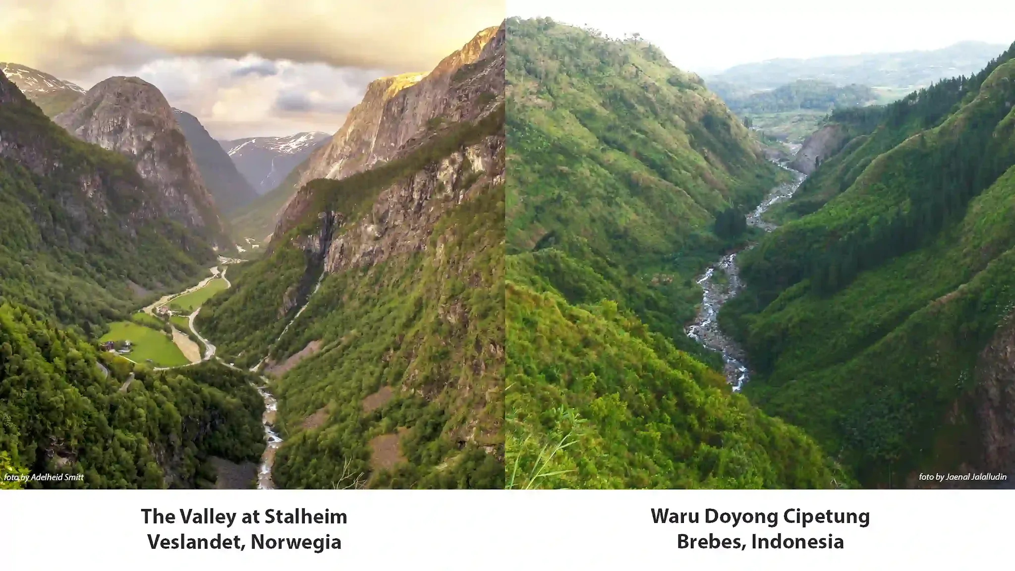 the valley at stalheim Norwegia -  foto by  Adelheid Smitt dan waru doyong brebes indonesia - foto by jaenal jalalludin