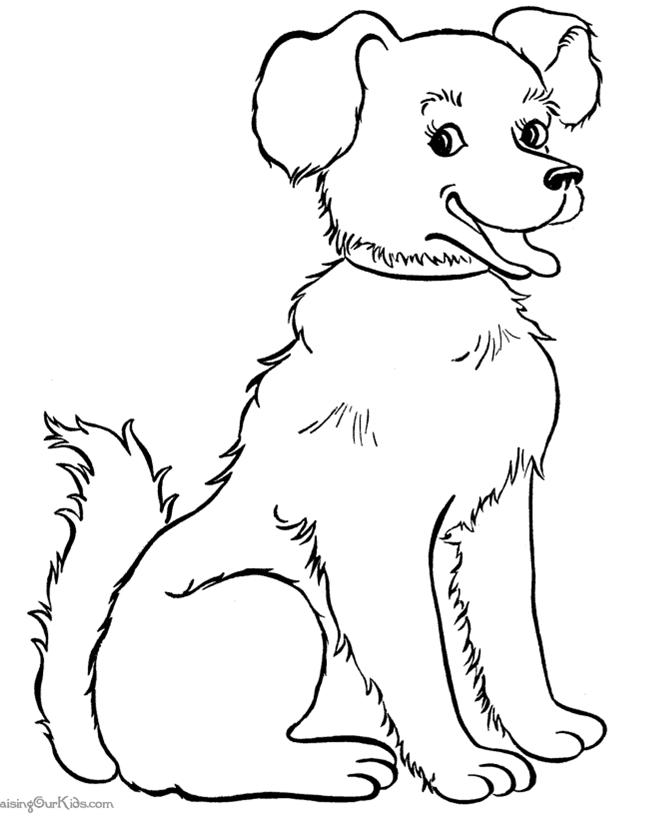 Mewarnai Gambar Sketsa Anjing  Terbaru KataUcap