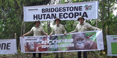 Bridgestone Sumbang Ban Offroad untuk Operasional Pelestarian Orangutan