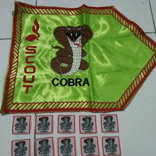 Bendera Regu Pramuka-Cobra