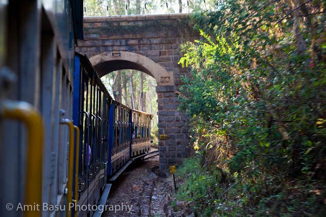 India - On the Coonoor - Ooty Railway