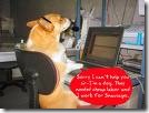 Computer Dog Tech Support Computer Dog Tech Support