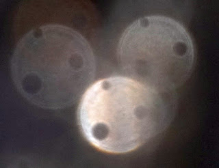 orb with three face