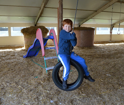 Tattershall Farm Park - A review - indoor play barn