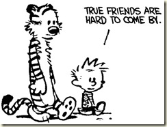 calvinhobbes_friends