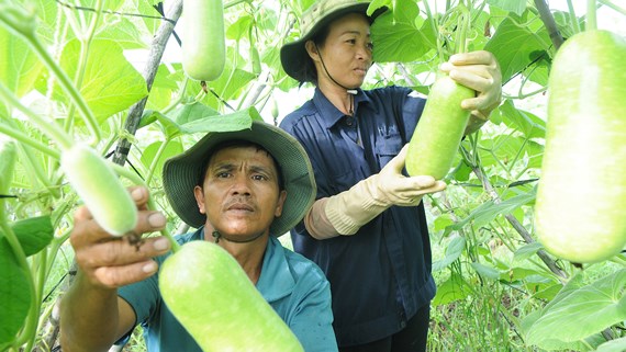 xuất khẩu sang Hàn Quốc