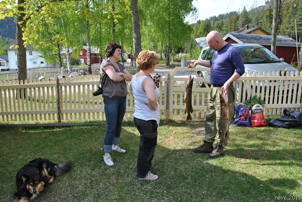 dag 2 076