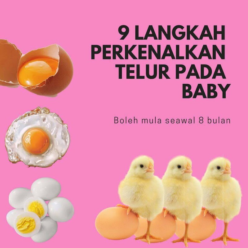 9 LANGKAH PERKENALKAN TELUR PADA BAYI