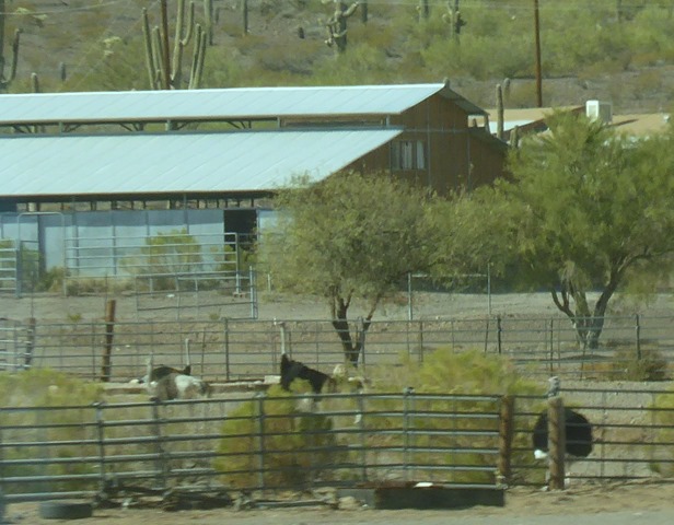 P1190196