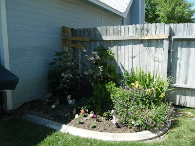 This is the side flower bed