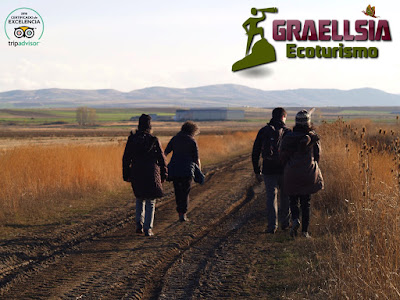 Excursión ornitológica en las Lagunas de El Oso