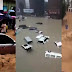Expertos meteorológicos en China califican las lluvias más intensas en 1.000 años. (vídeos)