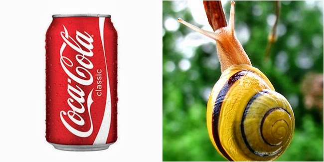 5 Manfaat Mengejutkan Dari  Coca  Cola  Yang Tak Pernah 
