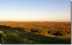 Warham at dawn