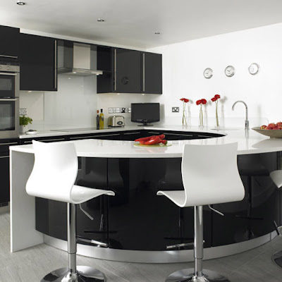 Black and White Kitchen Interior Design