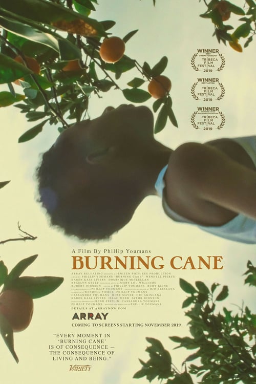 [HD] Burning Cane 2019 Ver Online Subtitulada