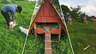 'Tak mampu pergi pulau kucing di Aoshima, pergi sini Pulau Kucing Pahang pun nice juga'