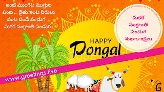 Latest Trending Sankranti Festival 2018 Wishes in Telugu Language Ultra HD Image collections from www.greetings.live 