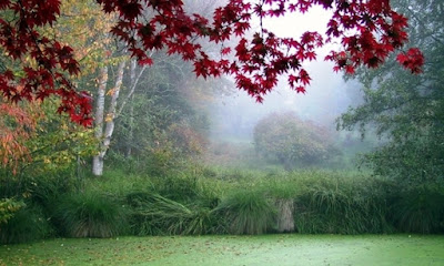 Eastwoodhill Arboretum