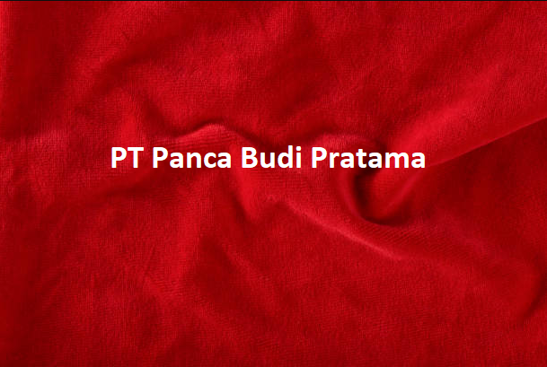 Loker Driver atau Supir Direksi di PT Panca Budi Pratama