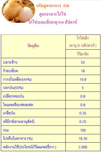 สูตรอาหารไก่ไข่ อายุ 0-6 สัปดาห์