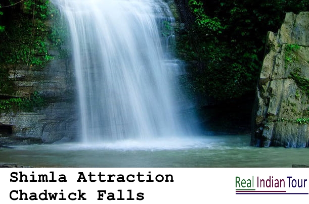 Shimla Attraction - Chadwick Falls