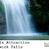 Shimla Attraction - Chadwick Falls