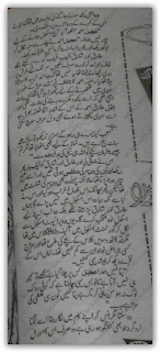 Ham piar sikhane wale hen by Sadia  Aziz Afridi pdf