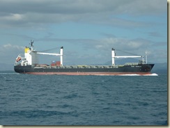 P1010549