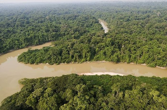 4 Facts about the Amazon Region that Still Have Many Mysteries