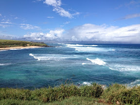 Hawaiian beach