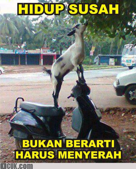 Kumpulan Gambar Kata Motivasi Perjuangan Hidup Ucapan Gambar Kumpulan Gambar Kata Motivasi Perjuangan Hidup Ucapan Gambar