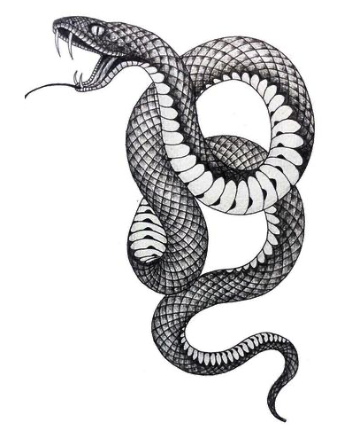 snake-black-ink-tattoo-design