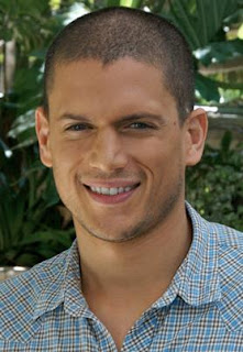 Wentworth Miller portrait