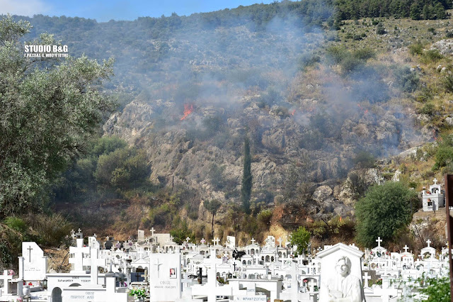 Πυρκαγιά εκδηλώθηκε μέσα στην πόλη του Ναυπλίου (βίντεο)