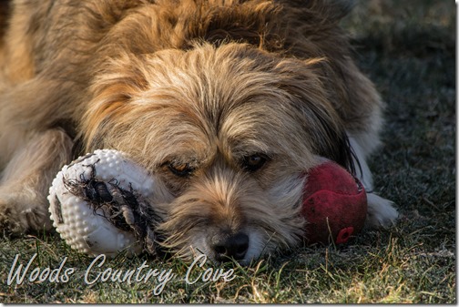 JANUARY 2016 (14 of 28)