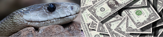 Chinese Horoscope Snake 2015 Economics Finance, Chinese Horoscope Snake 2015 Economy, Chinese Horoscope Snake 2015 Finance, Chinese Horoscope Snake 2015 Economics Finance planning, Chinese Horoscope Snake 2015 Economics Evaluation, Chinese Horoscope Snake 2015 Chinese Snake 2015 Economics evaluation, Chinese Horoscope Snake 2015 Finance evaluation - Starpluto.blogspot.com