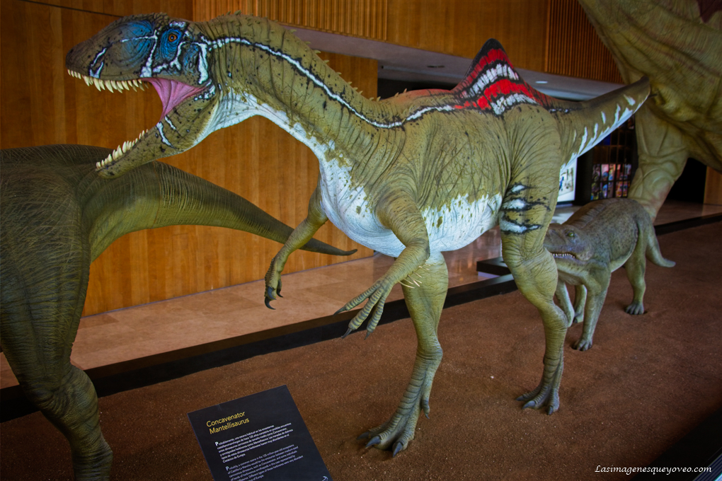 Museo de Paleontología de Castilla la Mancha (MUPA). Tierra de Dinosaurios
