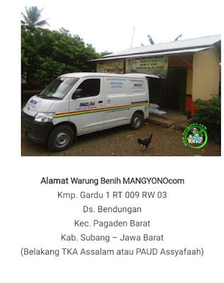 Warung Benih MANG YONO - MANGYONO.com  Subang - Jabar
