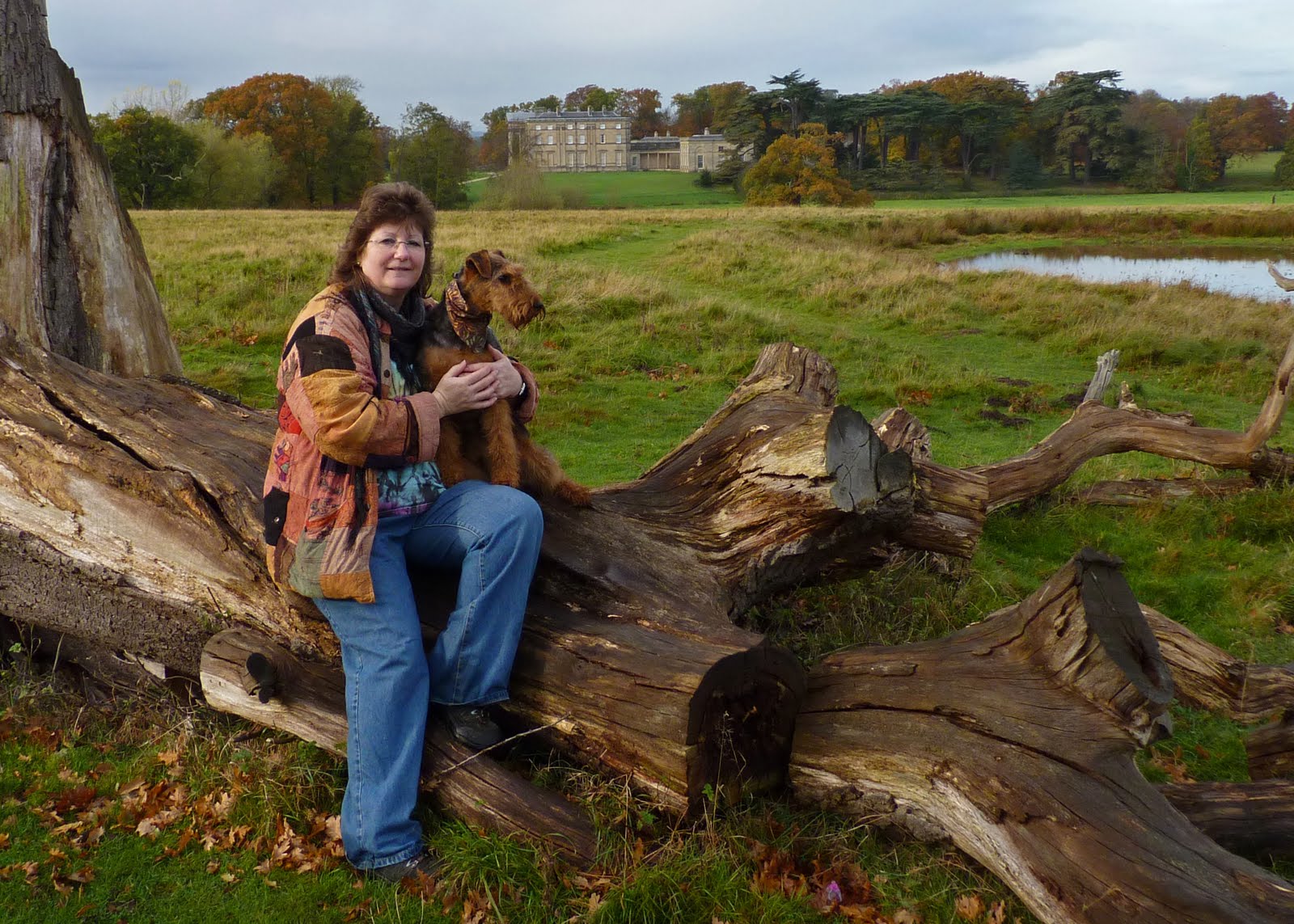 coffee with a canine: November 2010