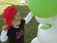 2008 Heart Walk