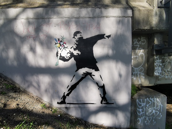 Street Art in Albury by NOT BANSKY