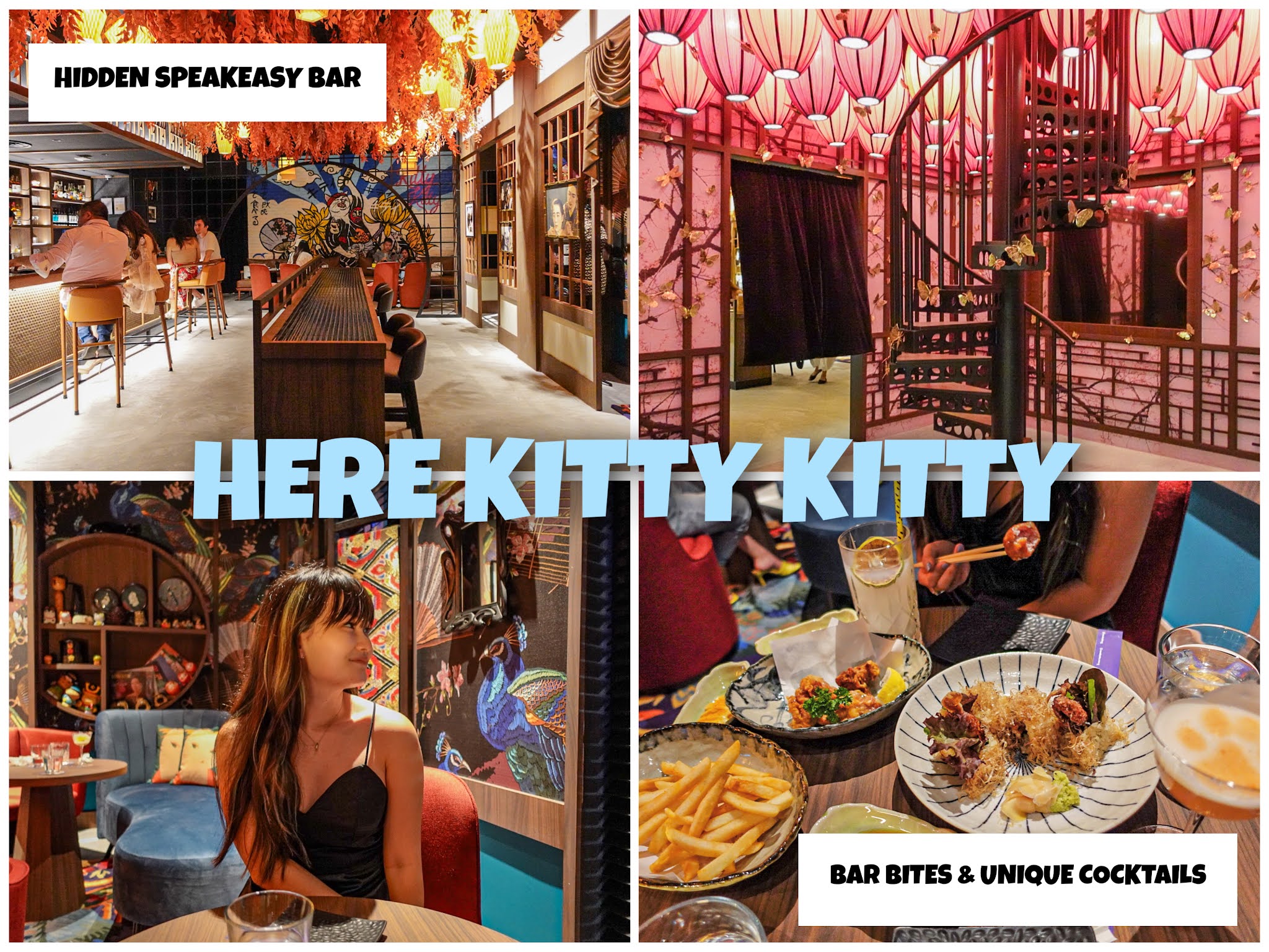 here-kitty-kitty-review