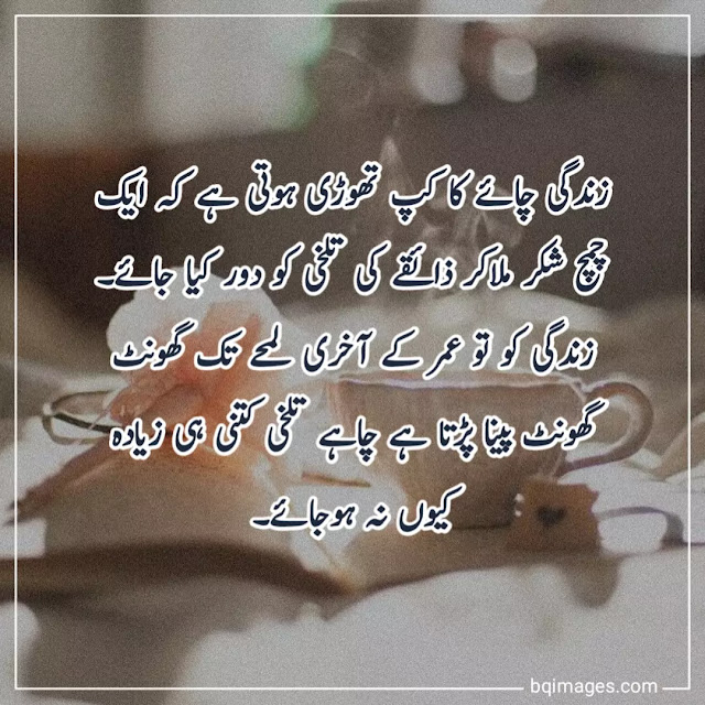 zindagi kya hai quotes in urdu