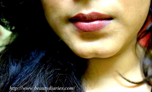 L'Oreal Paris Color Accord Intense Riche Lipstick - Fever Brown #291