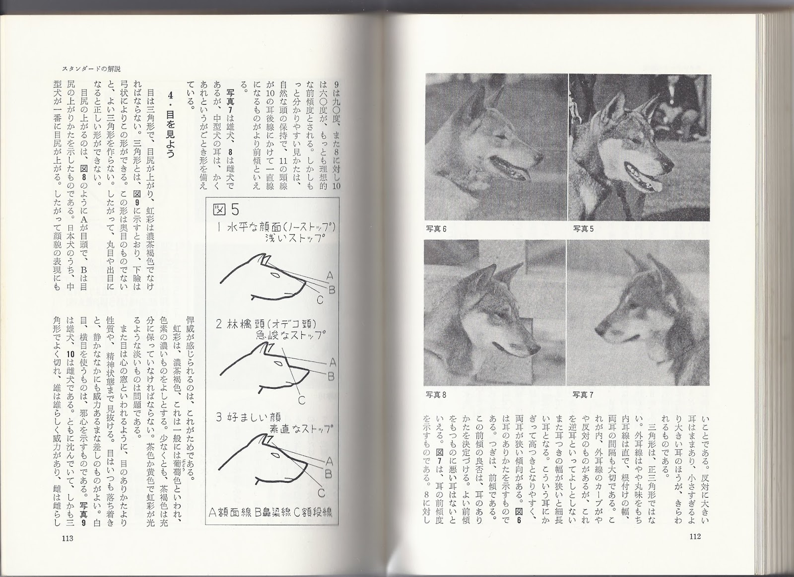 The Nihon Ken Shikoku Book Part 6 The Standard