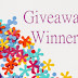 Multilizer PDF Translator winners