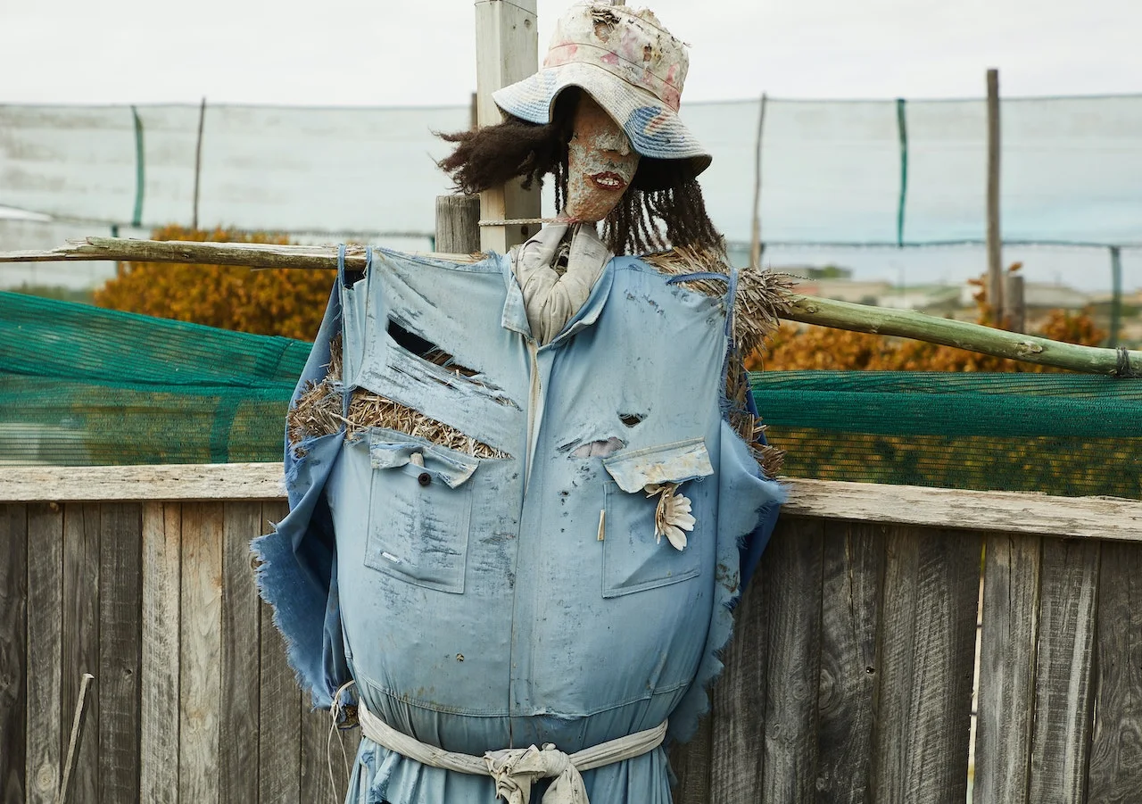 scarecrow placed in kitchen garden near fence